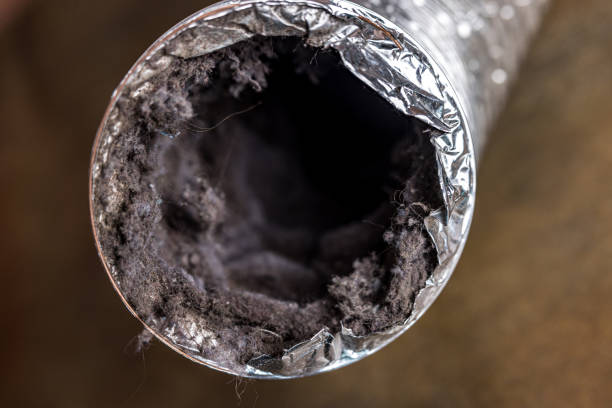 Best Air Vent Cleaning Services  in Perry, LA